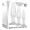 Anal Toys Adam & Eve Glass Anal Training Trio