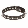 Allure Lingerie XPlay Spiked Collar - Black