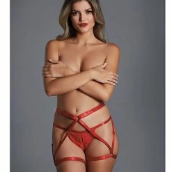 Allure Lingerie Adore The Fantasy Strappy Harness & Ouverte G-string One Size Fits Most