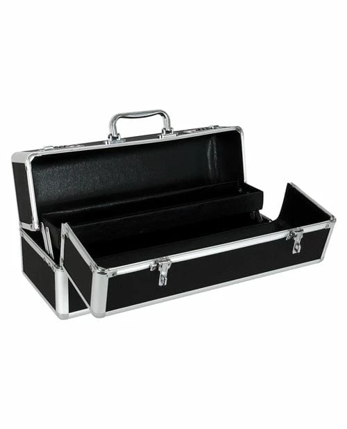 B.M.S. Enterprises Toy Cleaners & Storage Large Lockable Vibrator Case