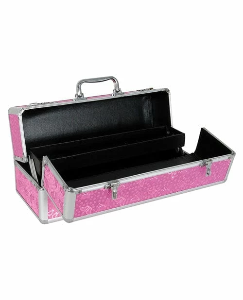 B.M.S. Enterprises Toy Cleaners & Storage Large Lockable Vibrator Case