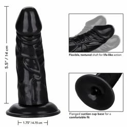 CalExotics Back End Chubby