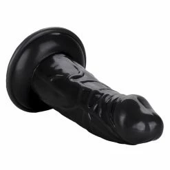 CalExotics Back End Chubby