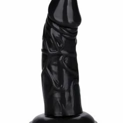 CalExotics Back End Chubby