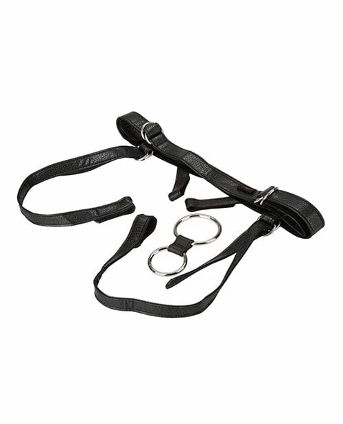 CalExotics Her Royal Harness The Duchess - Black Dildos