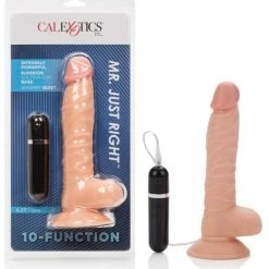 CalExotics Mr. Just Right Elite Eight - Ivory