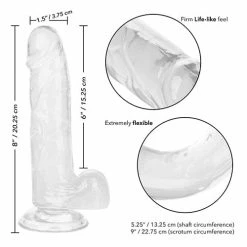 CalExotics Size Queen 6