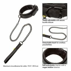 CalExotics Boundless Collar & Leash - Black