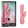 CalExotics California Dreaming Pasadena Player - Pink