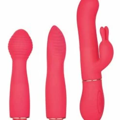 CalExotics In Touch Dynamic Trio - Pink Vibrators