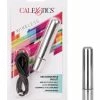 CalExotics Vibrators Rechargeable Bullet - Silver