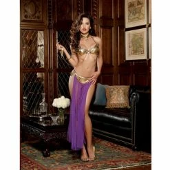 Dreamgirl International 3 Piece Halter Bra With Coin Trim, Thong With Attached Mesh Skirt & Neck Collar With Chain Leash Gold One Size Fits Most Lingerie