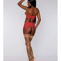 Dreamgirl International Valentine Sheer Stripe Long Line Bra, Garter Belt & G-string Lipstick Red