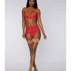 Dreamgirl International Valentine Sheer Stripe Long Line Bra, Garter Belt & G-string Lipstick Red