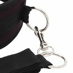 Electric Eel Lux Fetish Collar & Leash Set