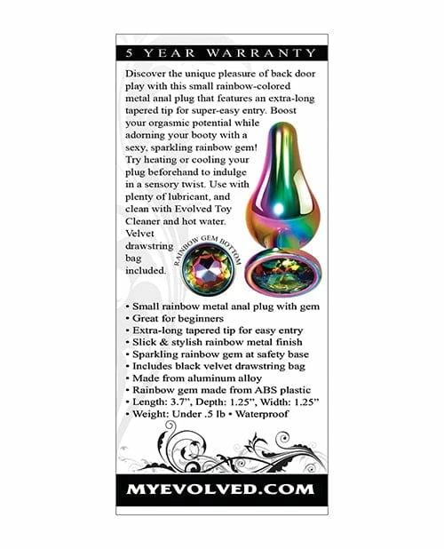 Evolved Novelties Anal Toys Evolved Rainbow Metal Plug