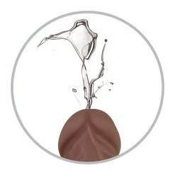 Evolved Novelties Evolved Big Shot Vibrating & Squirting Dong - Brown Dildos