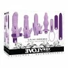 Evolved Novelties Vibrators Evolved Lilac Desires Vibrator - Purple