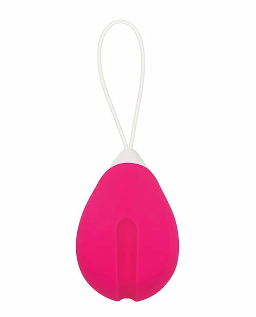 Evolved Novelties Evolved Remote Control Egg - Pink Vibrators