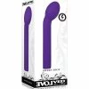 Evolved Novelties Evolved Sweet Spot - Purple Vibrators