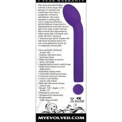 Evolved Novelties Evolved Sweet Spot - Purple Vibrators