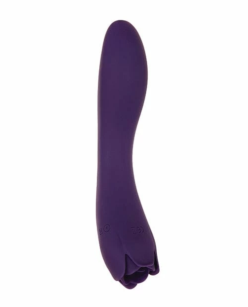 Evolved Novelties Evolved Thorny Rose Dual End Massager - Purple Vibrators