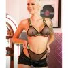 Fantasy Lingerie Vibes I'd Hit That Net Bralette & Panty