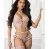 G World Intimates Garter Corset Teddy & Stockings Deep Rose One Size Fits Most