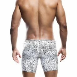 Male Basics Spider Hipster Boxer Brief Lingerie