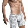 Male Basics Spider Hipster Boxer Brief Lingerie