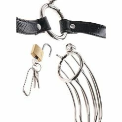 Pipedream Products Kink & BDSM Fetish Fantasy Extreme The Prisoner Metal Cock Cage