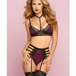 Seven'til Midnight Lingerie Galloon Lace & Microfiber Bra With Adjustable Straps & High Waisted Panty