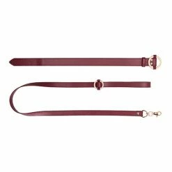 Shots America Kink & BDSM Shots Ouch Halo Collar With Leash