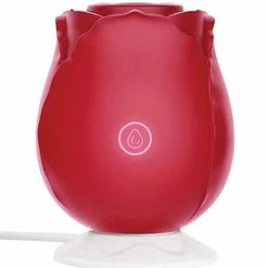 Thank Me Now Vibrators Voodoo Beso Flower Power