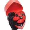XR Brands Kink & BDSM Frisky Passion Fetish Kit With Heart Gift Box - Red