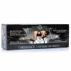 XR Brands Master Series Obedience Extreme Sex Bench