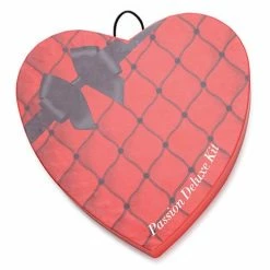 XR Brands Vibrators Frisky Passion Deluxe Kit With Heart Gift Box - Pink