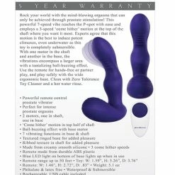 Anal Toys Zero Tolerance The Rocker - Purple